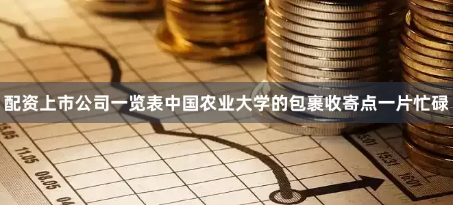 配资上市公司一览表中国农业大学的包裹收寄点一片忙碌