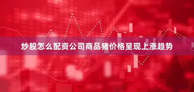 炒股怎么配资公司商品猪价格呈现上涨趋势