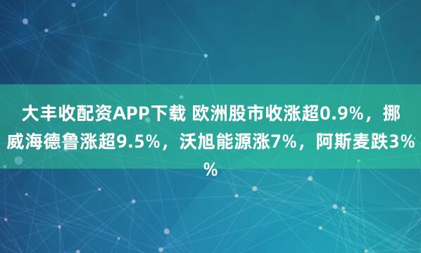大丰收配资APP下载 欧洲股市收涨超0.9%，挪威海德鲁涨超9.5%，沃旭能源涨7%，阿斯麦跌3%